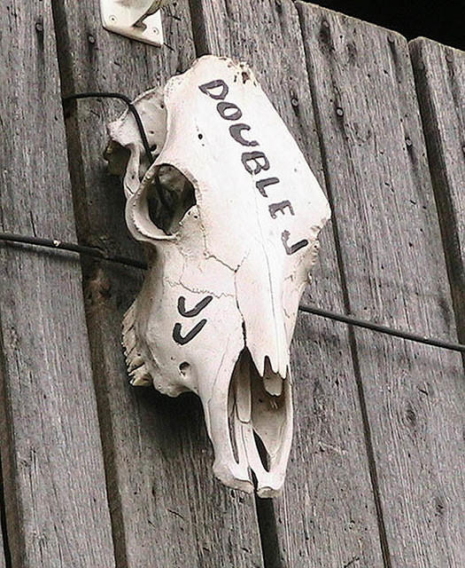 Bone-Headed Sign