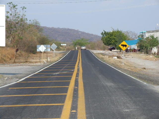 Road with "Bulls" Sign
