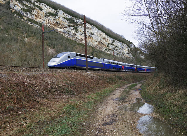 Train à grande vitesse bleu et gris