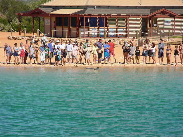dsc00026