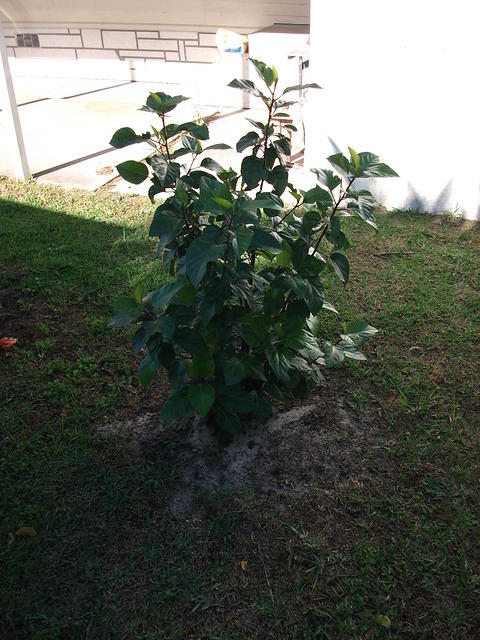 DSCF0100.jpg