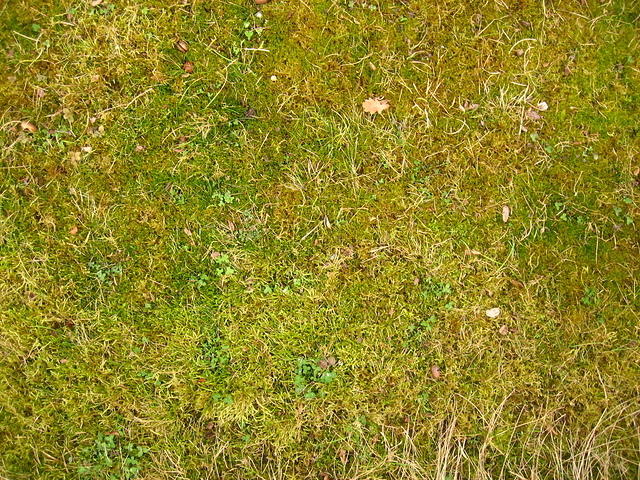 IMG_0045.JPG