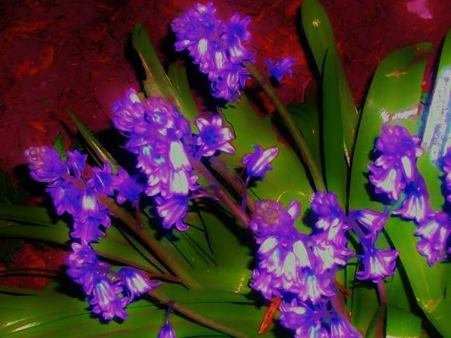 006