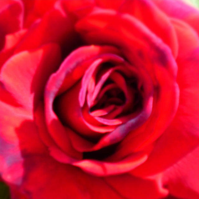 CLOSEUP