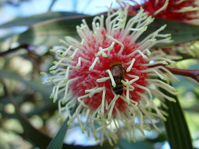 dsc00051