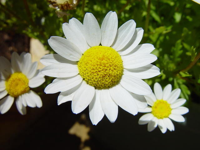 dsc09178