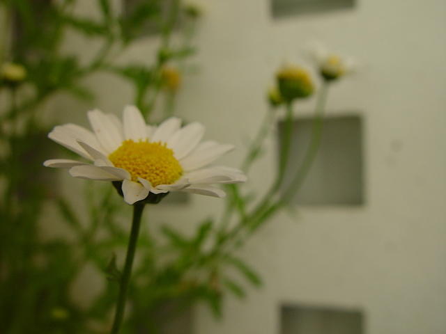 dsc09261