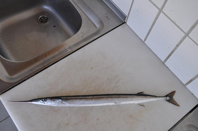 DSC_2716.JPG