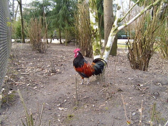 S7003095.JPG