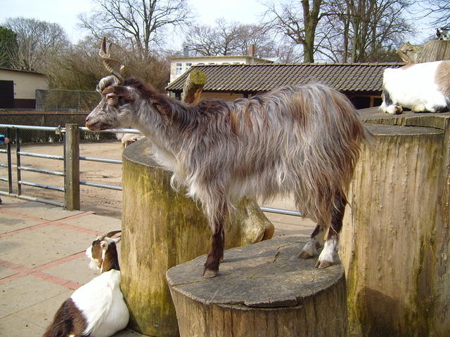 S7003128.JPG
