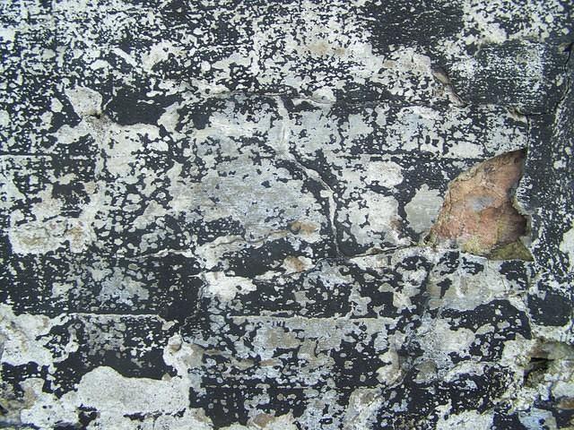 Concrete texture