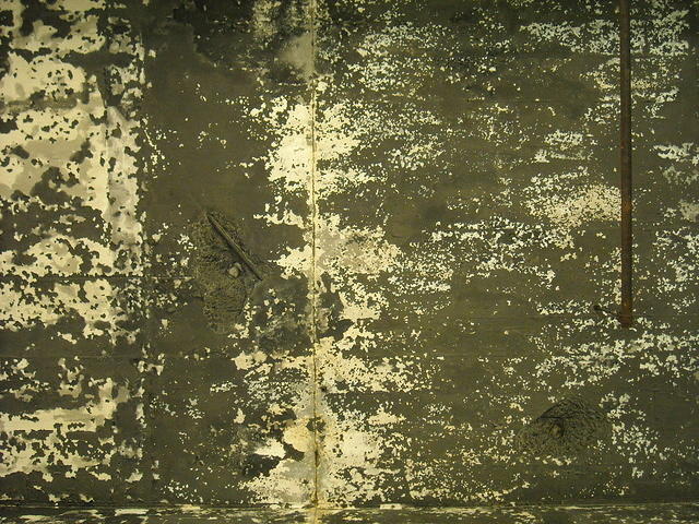 grunge871