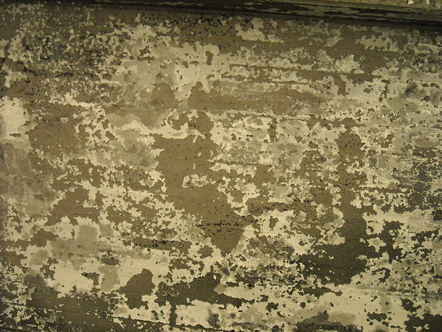 grunge874
