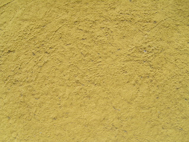 TT004180.JPG