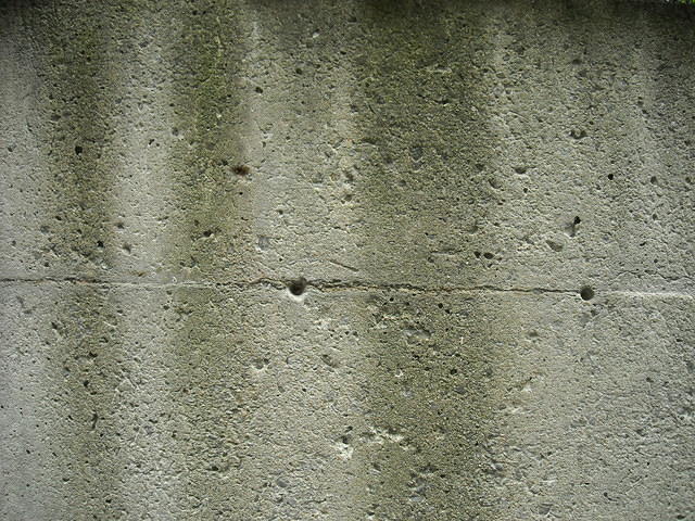 concrete509