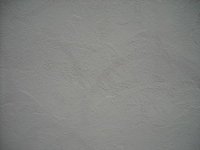 plaster481