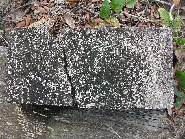 DSCF0596.JPG