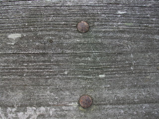 DSCF0598.JPG