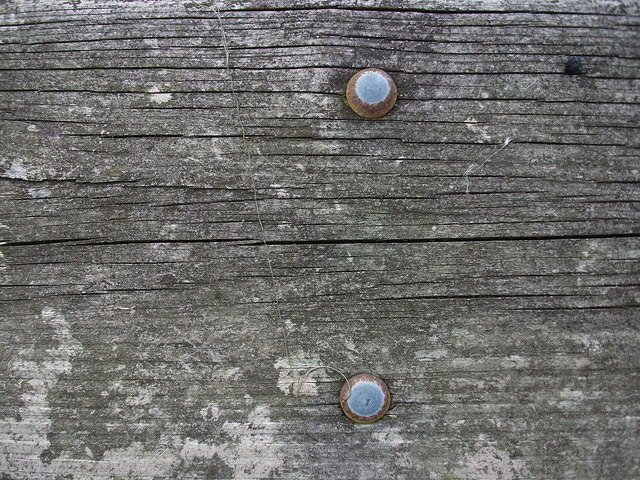 DSCF0599.JPG