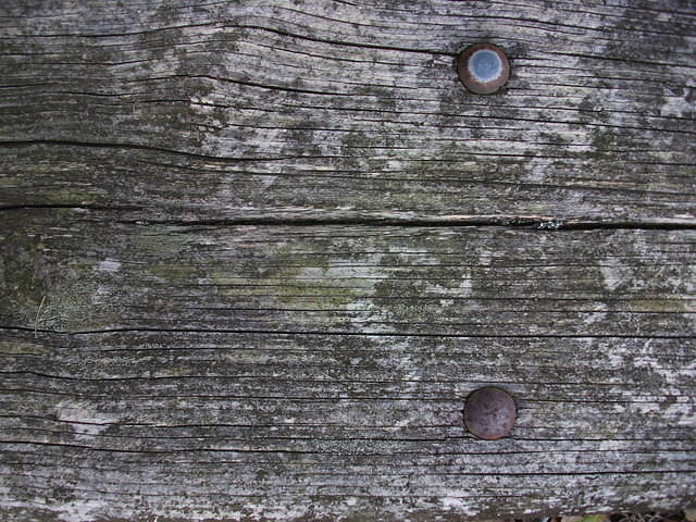 DSCF0600.JPG
