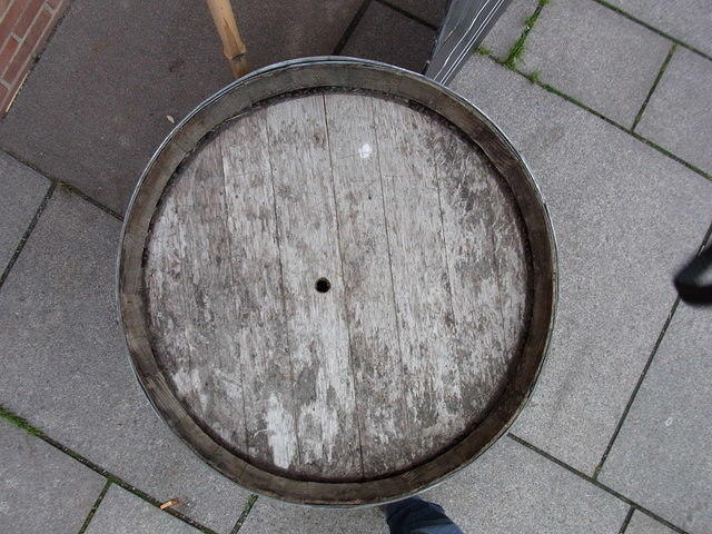RIMG0393.JPG