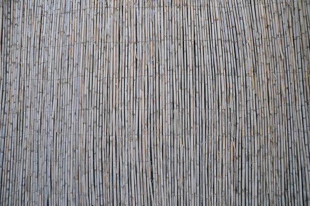 TT_DSC_6716