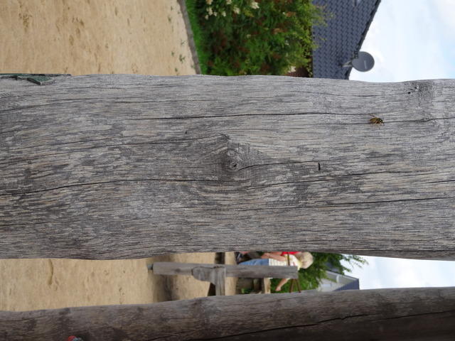 TT SC00143