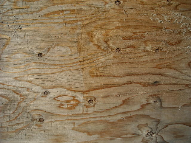 wood1004