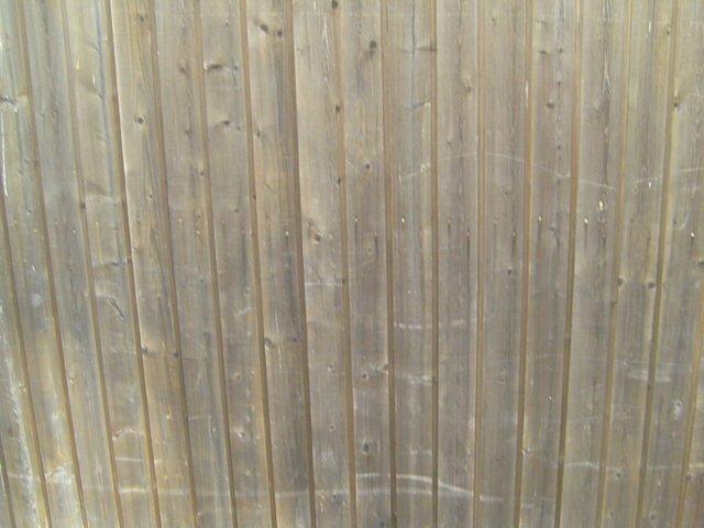 wood_planks_texture_TT7010104.JPG