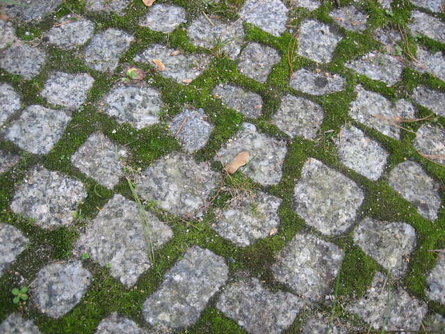Grass and cobbles