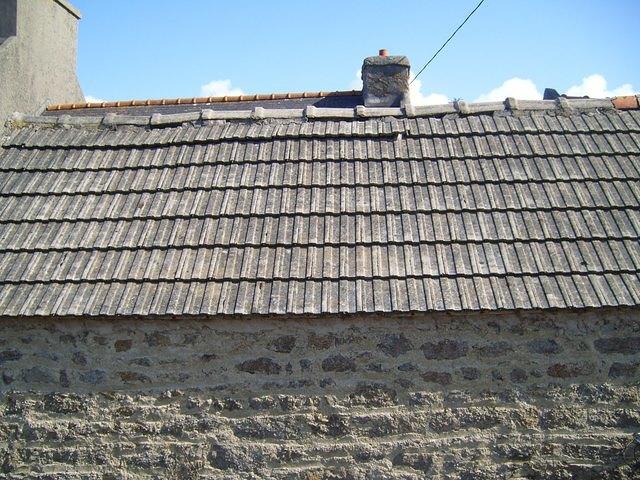 TT7002071.JPG