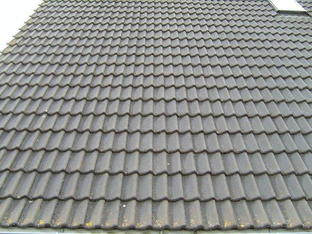 roofing_tiles_TT7010069.JPG