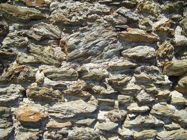 TT004201.JPG