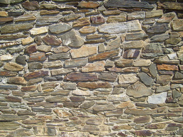 TT004205.JPG