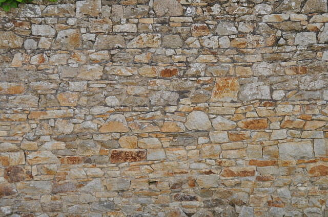 TT1_0715.JPG