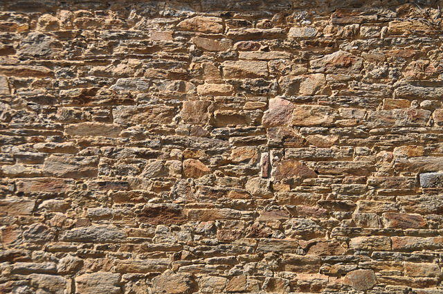 TT1_0813.JPG