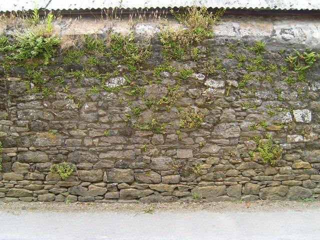 TT7001662.JPG