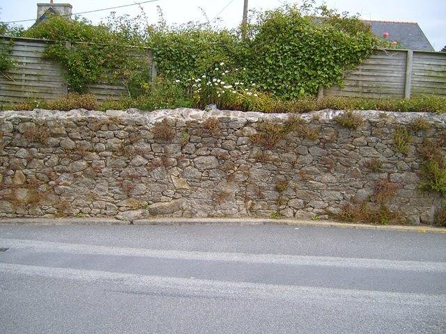 TT7001698.JPG