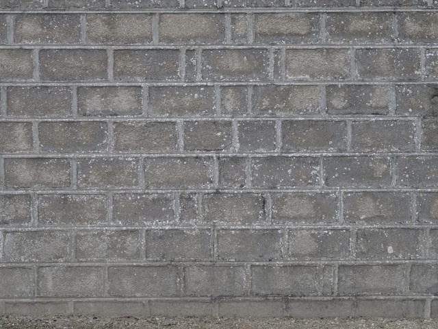 TT 00981