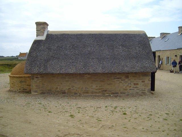 TT7001858.JPG