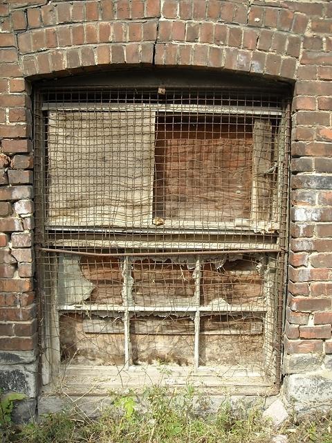 window0837