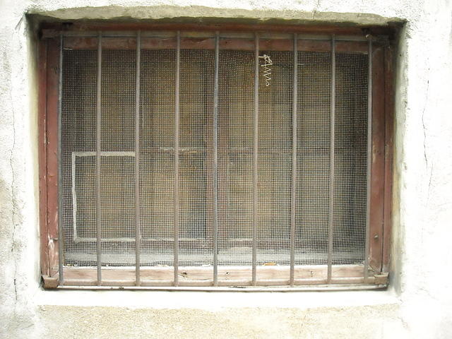 window561