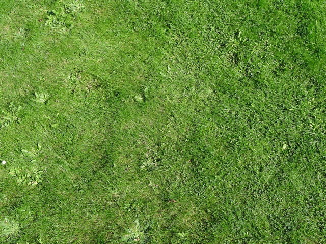 DSC01475