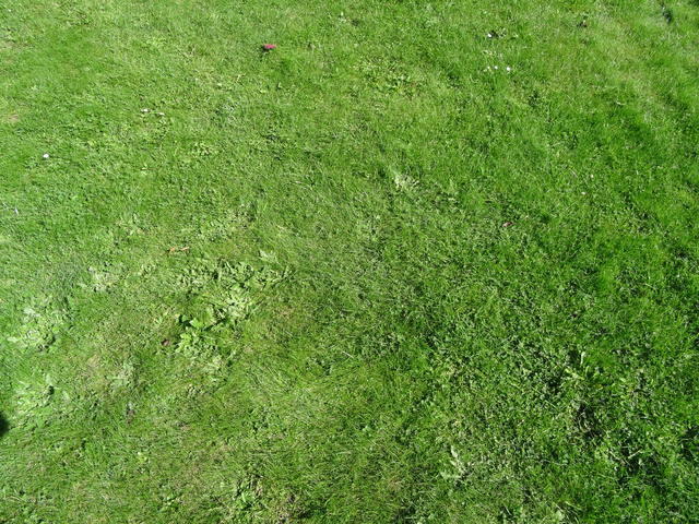 DSC01477