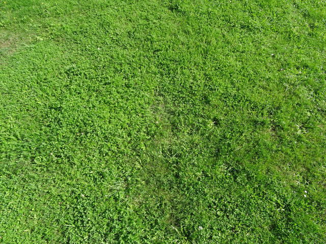DSC01478