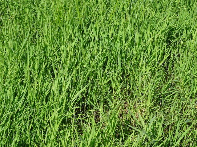 DSC01499