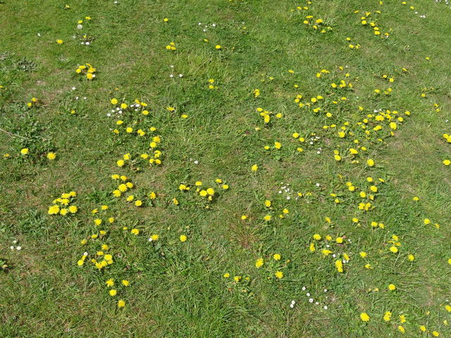 DSC01646