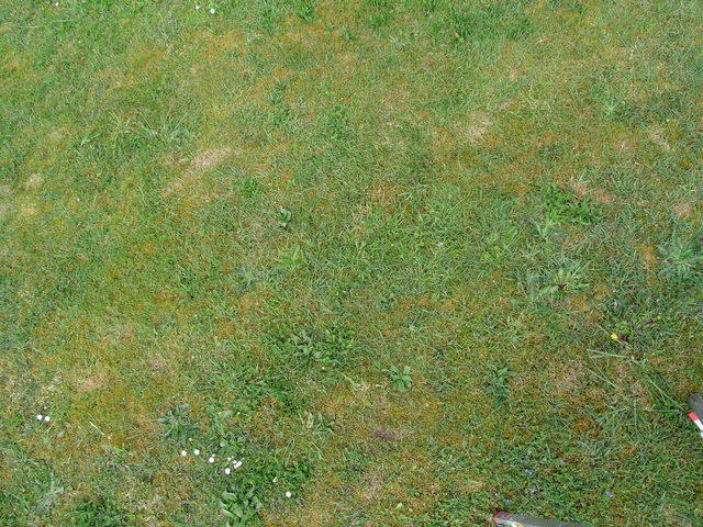 DSC01667