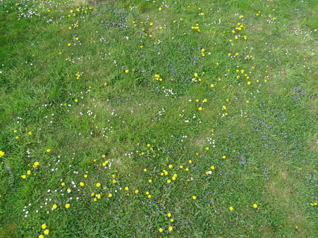 DSC01699