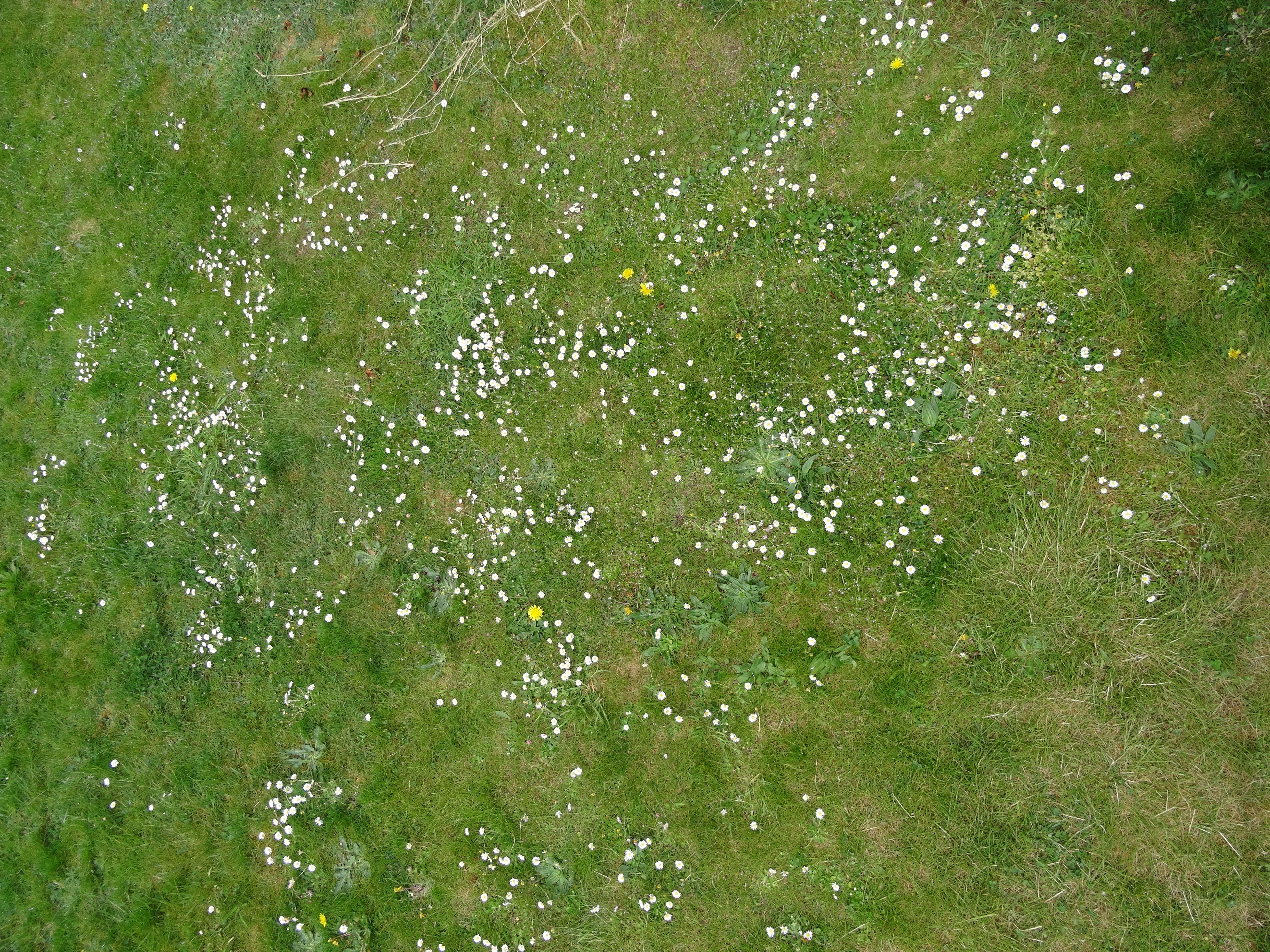 DSC01704